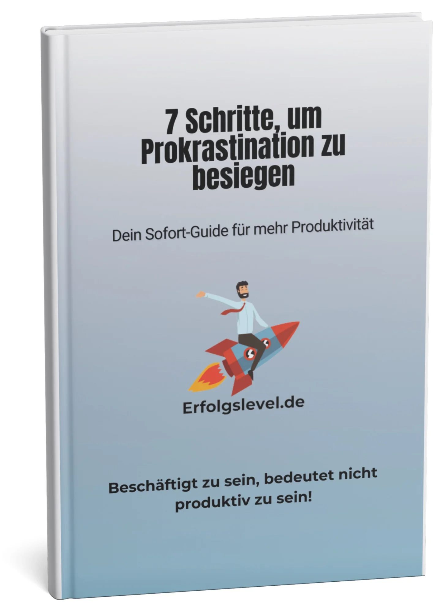eBook erfolgslevel.de
